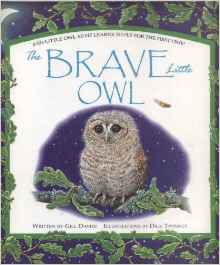 The Brave little owl